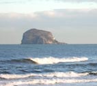 image of the
                                                    bass rock